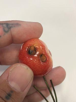 Moldy cherries from Smiths