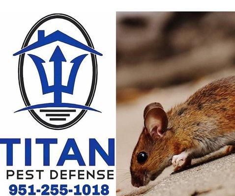 Titan Pest Defense