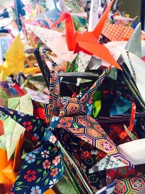 Activating our community through a cultural arts lens.  We successfully folded 1,000 paper cranes as a gift to the city of Kirkland.