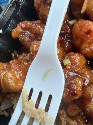 General tsos chicken