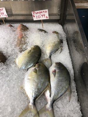 Pompano