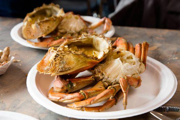 dungeness crab