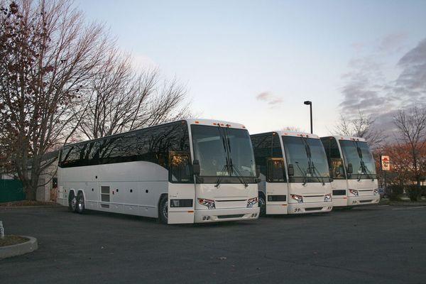 here are some of our buses