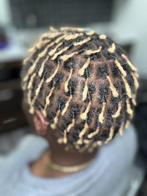 Coiled Starter Locs