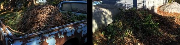 Yard Waste Removal in Milton, WA