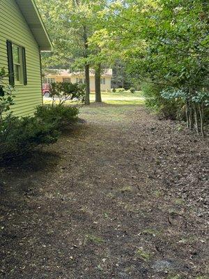 After picture of trimmed bushes, trees and the weeds were removed.