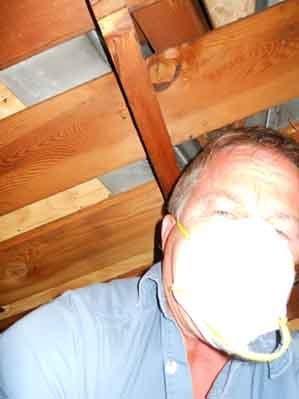 Accidental Home Inspector self portrait