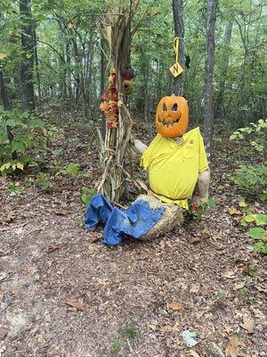 Fun along the nature trail