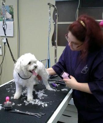 Pampered Paws Grooming