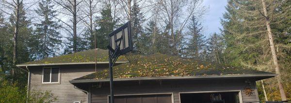 Garage Roof Before. Sherry