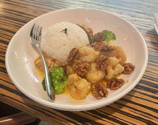 Their version of Honey Walnut Shrimp is different, love it.