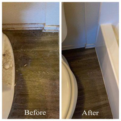 Before and after toilet clean