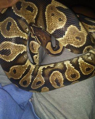 Miles Exotic Pet Rescue