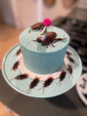 Our custom made cockroach cake! Exactly what we asked for