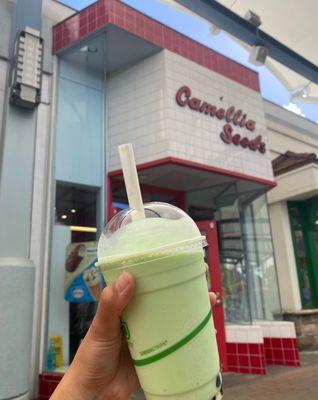 Honeydew Bubble Tea