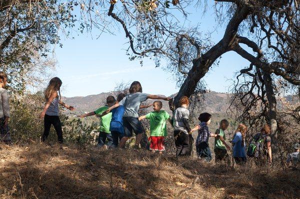 Science hike on campus