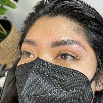 Brow Lamination/Tint/Wax