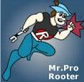 Pro Rooter, Inc.