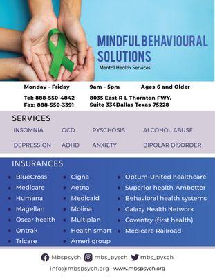 Mindful Behavioral Solutions E-Flyer