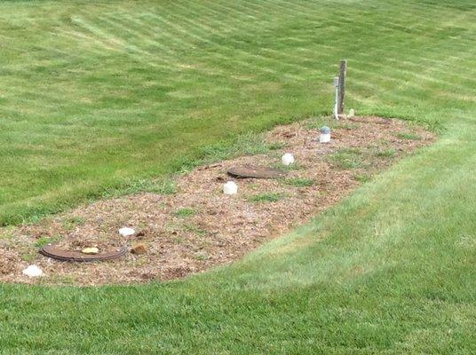 Planned planting area that ended up looking like a fresh cemetery plot