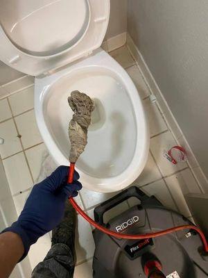 Clearing a toilet line at a hotel that was full of rags. Give us a call today. 260-446-4221