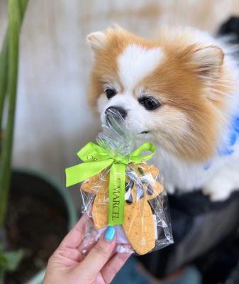 Tropical Cookie from Le Marcel Bakery for Dogs (part of Bark Tasting Menu)