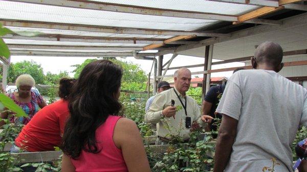 Rose Agriculture workshop in Surinam