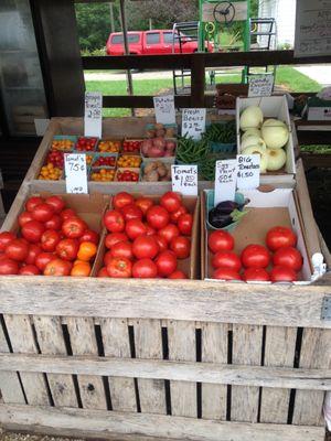 Assorted summertime vegetables...2019 prices!