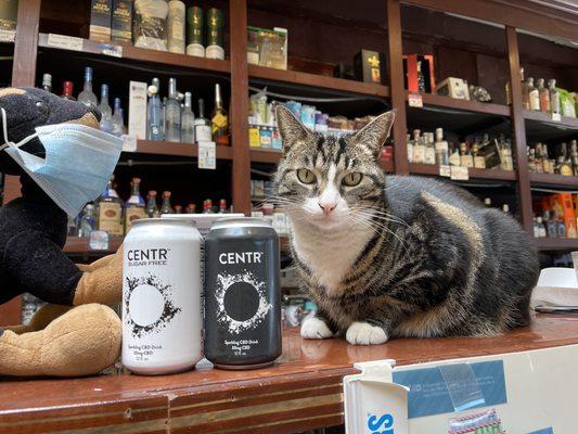 Katrina the cat is awesome! Great liquor store. Carry CENTR sparkling lemon-citrus CBD waters.