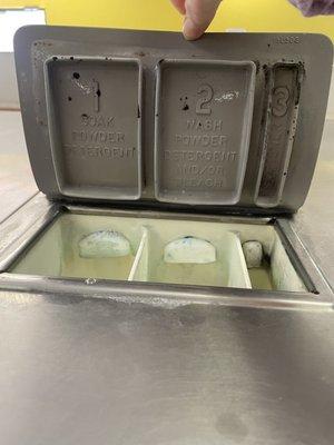 Mold in the soap dispenser