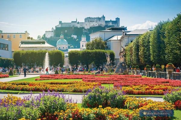 Some of the beautiful things you can see on a River Cruise!