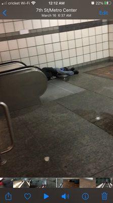 Station at 7th street. Piss, litter, and bodies sleeping, is what you can expect at Pershing square, as most L.A. stations.