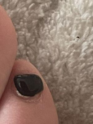 My toenail that was not painted correctly nor was the cuticle cut.