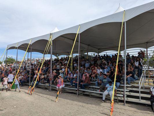 VIP garden area stands