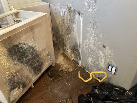 Undetected water damage causing secondary damages