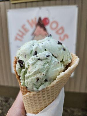 Mint chocolate chip