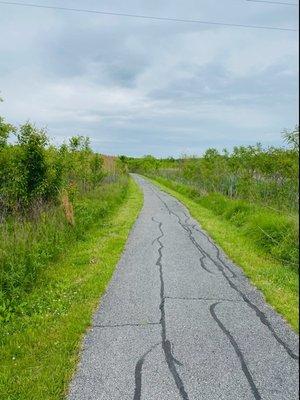 Silver Creek Nature Preserve Walking Trail