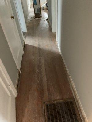 Original 1956 red oak flooring