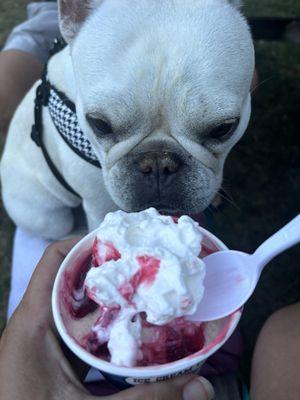 Single scoop Island coconut with strawberry toppings and whip cream