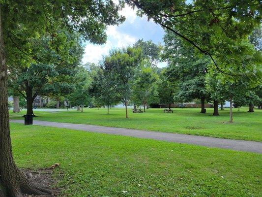 Green space with picnic tables