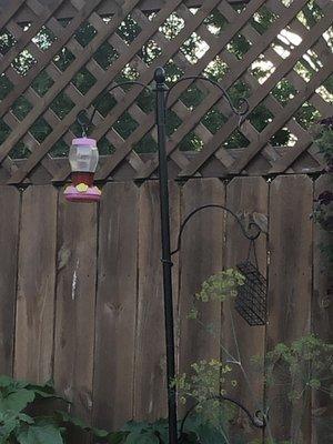 Hummingbird feeder on the patio