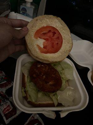 Probably the worst chicken sandwich I have ever had. Don't try this place