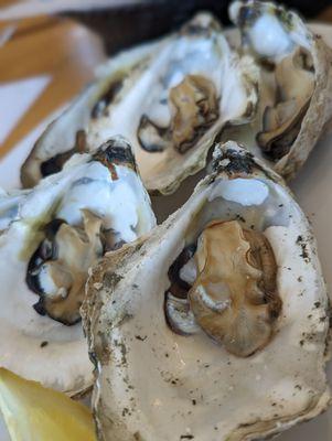 Steamed oysters