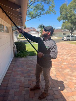 de-webbing and treating the eaves is essential for keeping wasps and spiders away from the home