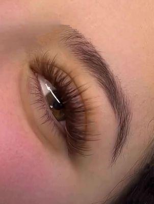 brown wispy Eyelash Extension