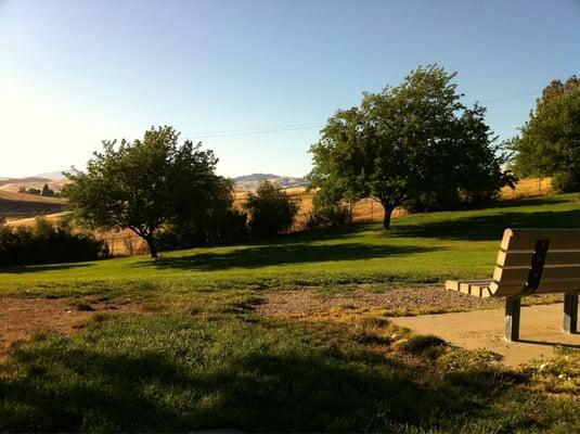 View from the picnic table on a late June day.