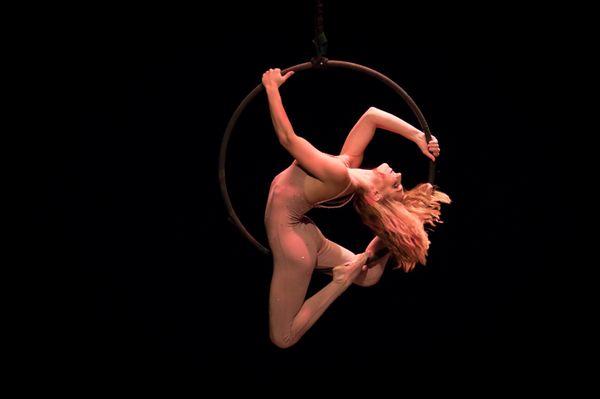 Aerial Hoop "Lyra"