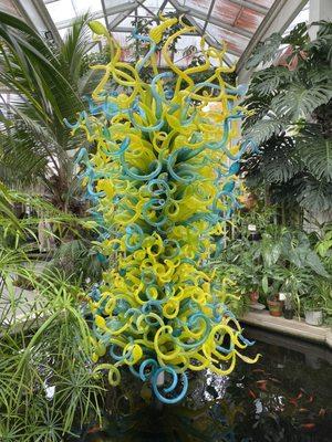 The Dale Chihuly glass sculpture in the conservatory.