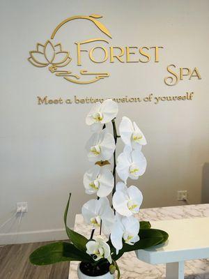 Forest Spa