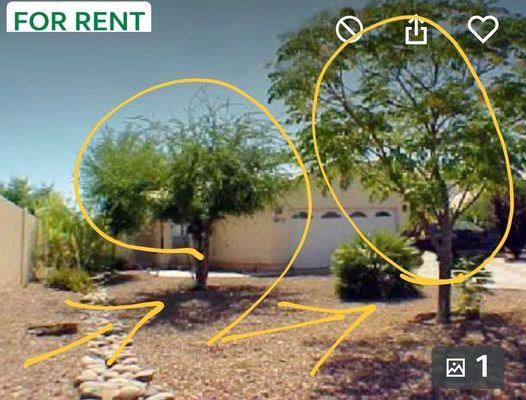 Trees DON'T exist since 2016 + only pic EMS Realty uses. Outdated, plagiarized even though they took new 2023 pics. Deceptive at best!